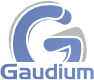 Gaudium Bohonal Logo